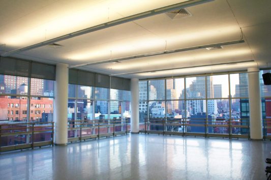 The Ailey School